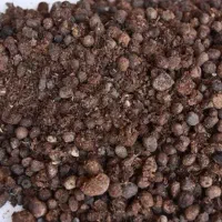 کود گوسفندی