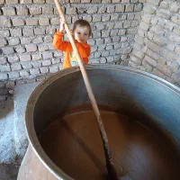 سمنو اصل قوچان باکیفیت همش جوانه تازه گندم