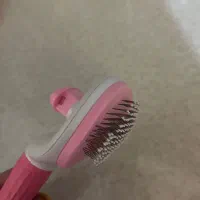 برس سگ یا گربه