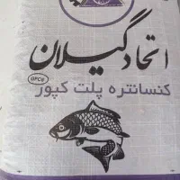 غذای مخصوص ماهی کپور پرطلایی|ماهی|زنجان, |دیوار