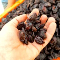 آلو خوانساری گردو سبز گردو خشک پارساله بادام|خوردنی و آشامیدنی|قم, جمکران|دیوار