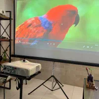 ویدئو پروژکتور کافه و مساجد