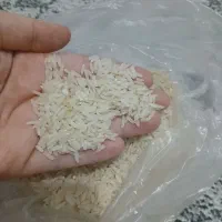 برنج هاشمی|خوردنی و آشامیدنی|رشت, پارک شهر|دیوار