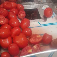 ابگوجه گیری اب گوجه گیر سیار با دستگاه تمام استیل