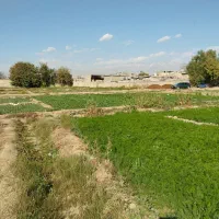 زمین کشاورزی در یافت اباد|فروش زمین و ملک کلنگی|تهران, سعیدآباد|دیوار