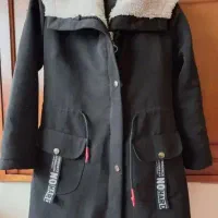 پالتو و اسباب بازی