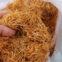 ریشه زعفران