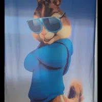 پرده اتاق پسرانه