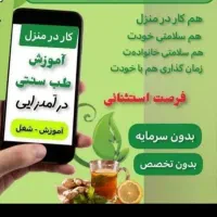 کار در منزل و کسب درآمد و سلامتی خود و دیگران