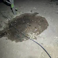 1500باغ دارای سند