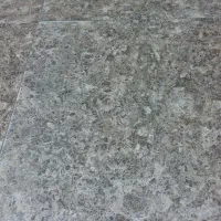 نیروی کاربلد برای قلیانی