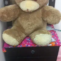 کالسکه|کالسکه و لوازم جانبی|زنجان, |دیوار