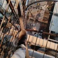 جوشکاری تخریب کاری وباز سازی منزل|خدمات پیشه و مهارت|دزفول, |دیوار