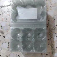 ظرف تخم مرغ