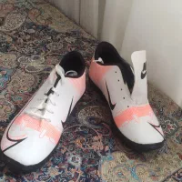 کفش اسپرت|کیف، کفش، کمربند|شیراز, مبعث|دیوار