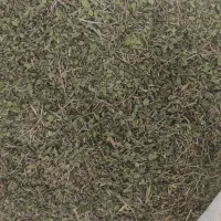 اویشن برگ پهن کوهی خوش عطر