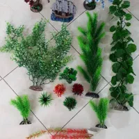 گران نخرید لوازم ارزان‌ آکواریم|ماهی|ری, شهید بهشتی|دیوار