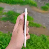 iPhone 7 gold 128|موبایل|آق قلا, |دیوار