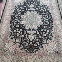 فرش|فرش|بوکان, |دیوار