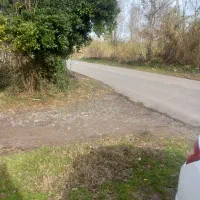 ملک در شهر کوچصفهان رشت