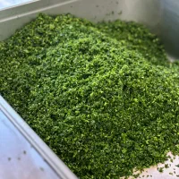 سبزیجات آماده/سبزی اماده کدبانو خورشتی آشی کوکویی