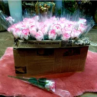 گل رز پارچه ای  مصنوعی|گل مصنوعی|قم, باجک یک|دیوار