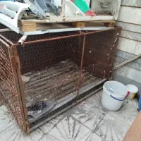 گنجه کفتری محکم