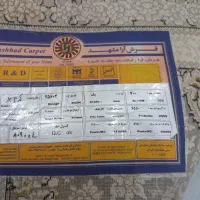 فرش ۶ متری یک تخته|فرش|مشهد, کارمندان دوم|دیوار