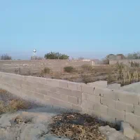 باغچه به متراژ ۵۱۰متر در صفادشت|فروش زمین و ملک کلنگی|صفادشت, |دیوار