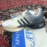کفش نو نو کادو بوده