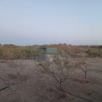 هرس و نظارت بر امور باغبانی|خدمات باغبانی و درختکاری|شهرکرد, |دیوار