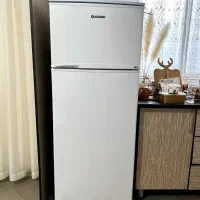 یخچال فریزر فیلور