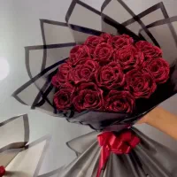گل رز روبانی شایین