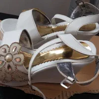 کفش مجلسی زنانه|کیف، کفش، کمربند|بندر انزلی, کارآموزی|دیوار