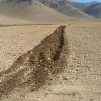 زمین کشاورزی|فروش دفتر صنعتی، کشاورزی، تجاری|سیلاخور, |دیوار