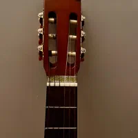 سالم،نو،زیبا|گیتار، بیس، امپلیفایر|تهران, نیلوفر|دیوار