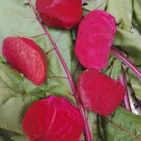 لبو|خوردنی و آشامیدنی|ششده و قره بلاغ, |دیوار