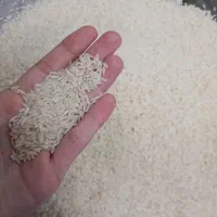 برنج هاشمی