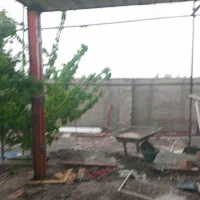 استا بنا افغانی هستم درقیمت مناسیب