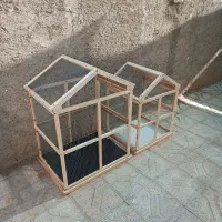 قفس چوبی برای عروس هلندی مرغ عشق قناری فنچ|لوازم جانبی حیوانات|بیرجند, |دیوار