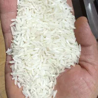 برنج امریکایی واروگوئه  جفت ایرانی