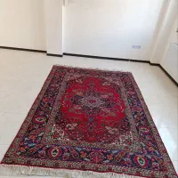 فرش دستباف|فرش|محمدیه-قزوین, |دیوار