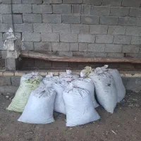 کود گوسفندی خالص گونی شده آماده