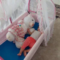 تخت ننو دار|تخت و صندلی بچه|تهران, شهرک خرازی|دیوار