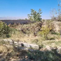 ۶۴۰ متر زمینن باغ شهری|فروش زمین و ملک کلنگی|کوار, |دیوار