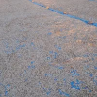 کدوآجیلی امساله درجه یک توپور حدود۱۵تن|عمده‌فروشی|هشترود, |دیوار