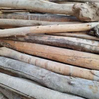 چوب|مصالح و تجهیزات ساختمان|زبرخان, |دیوار