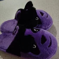 دمپایی راحتی|کیف، کفش، کمربند|قم, جوی شور|دیوار