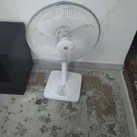 پنکه