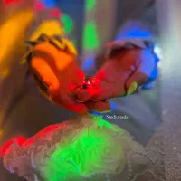 فیلمبرداری تخصصی عقد حرم